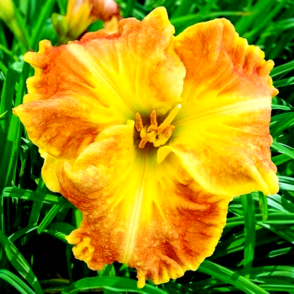 Beyond Riches