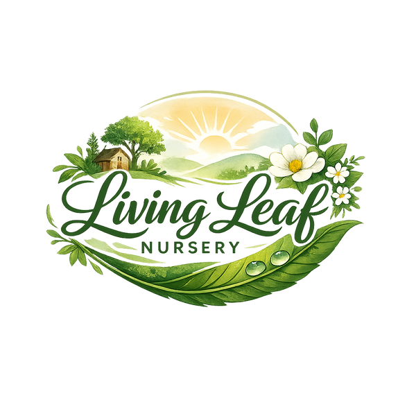 Living Leaf Nursery