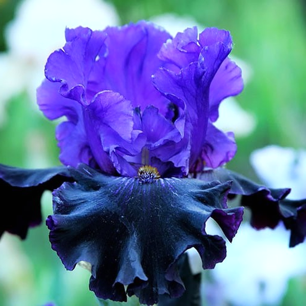 Stormy Night