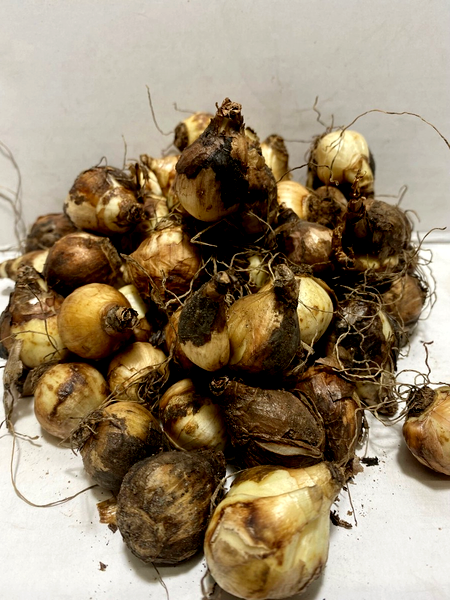 Indiras
