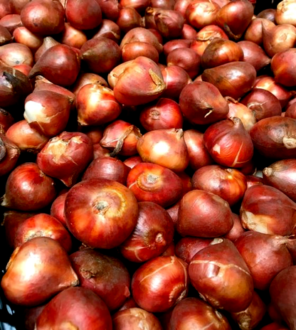 Red Signal